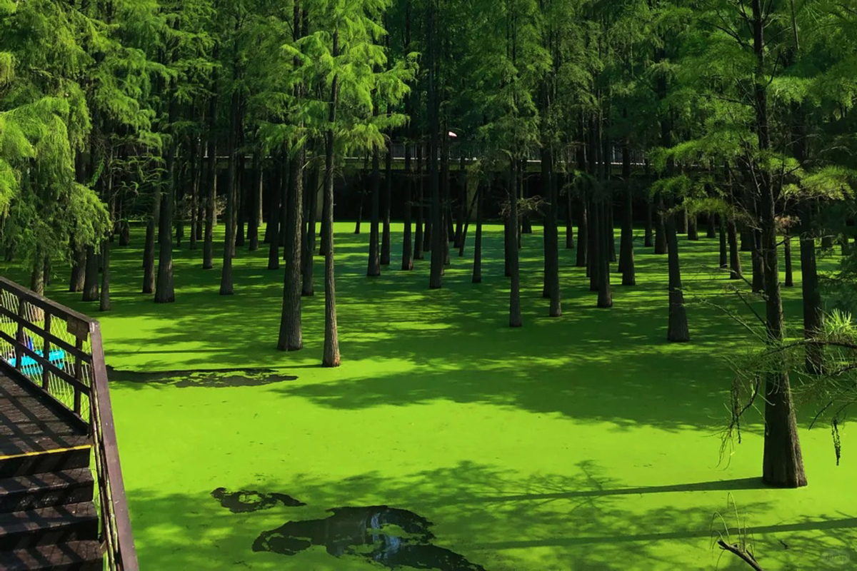 Thanh Sơn Hàng Châu (2)