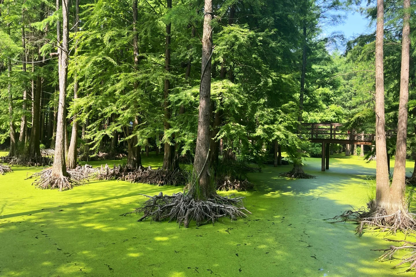 Thanh Sơn Hàng Châu (3)