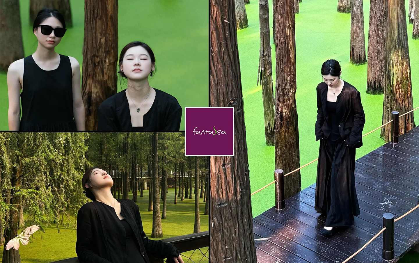 Thanh Sơn Hàng Châu (4)